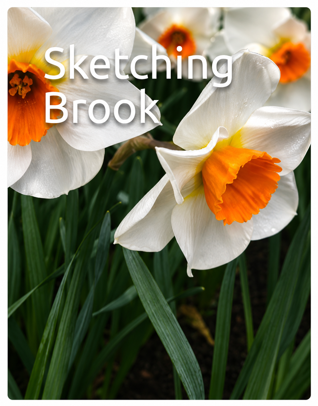 Sketching Book