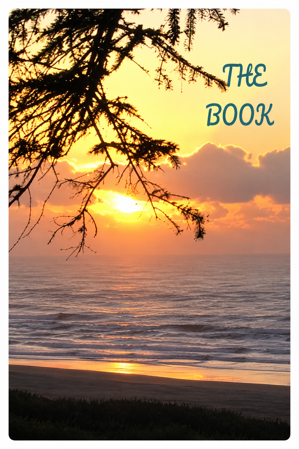 The Book — Daily Diabetes Log