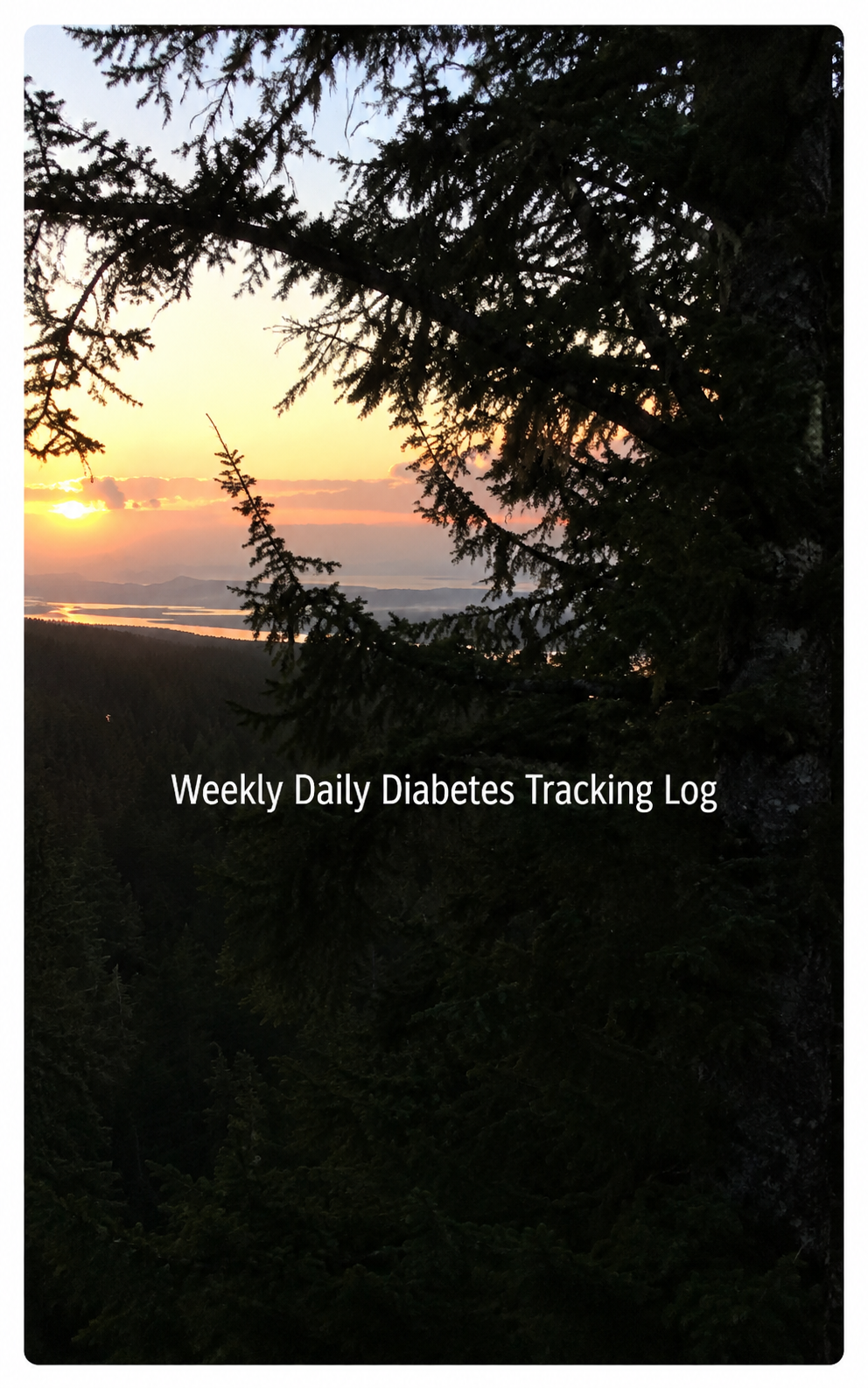 Weekly/Daily Diabetes Tracking Log